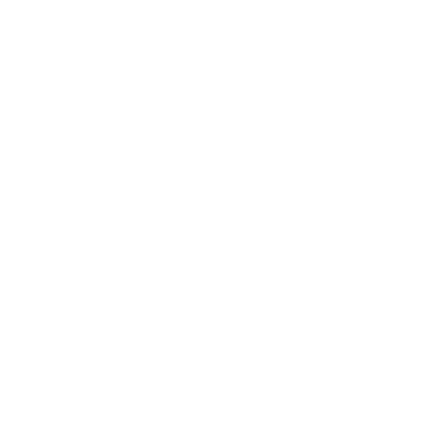 Government Icon